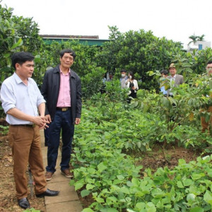 Lãnh đạo HLV Việt Nam thăm các mô hình kinh tế tiêu biểu ở Nghệ An