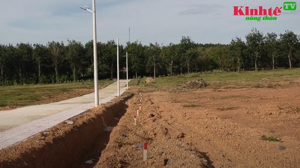 Lật tẩy các thủ phạm hô biến hàng trăm lô đất nông nghiệp thành dự án ma ở Phú Riềng