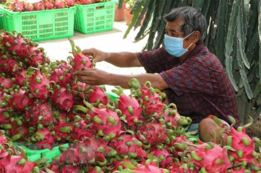  Trung Quốc dự định ngừng nhập khẩu rau quả 6 tuần trong dịp Tết Nguyên đán