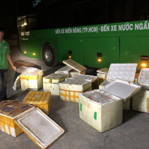 Nghệ An: Bắt giữ xe khách chở gần 1 tấn thực phẩm đã bốc mùi hôi thối