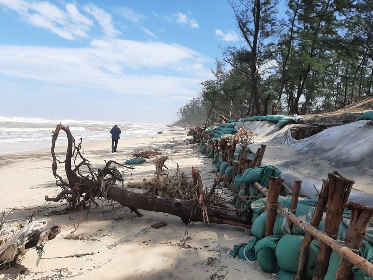 Sau cơn bão số 5, người dân tại xã Phú Thuận, huyện Phú Vang, tỉnh Thừa Thiên - Huế đã tiến hành gia cố đoạn bờ biển bị xói lở.