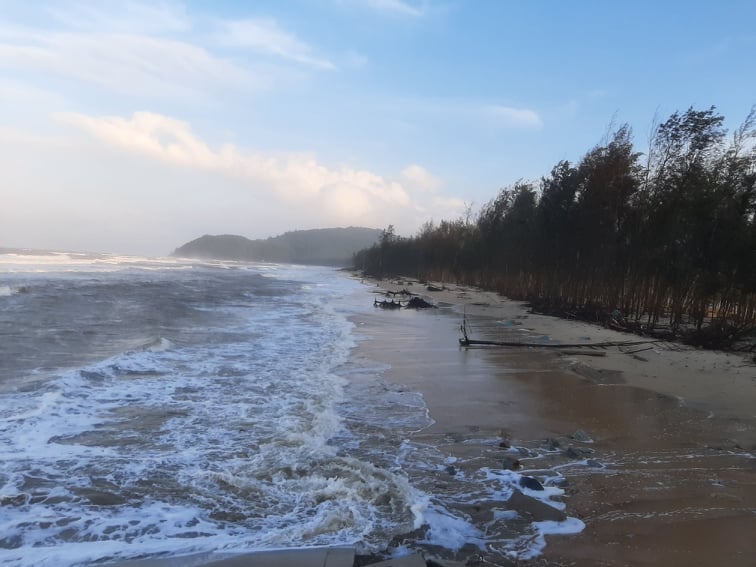 Khoảng 1 Km bờ biển tại xã Giang Hải, huyện Phú Lộc cũng bị sạt lở nghiêm trọng.