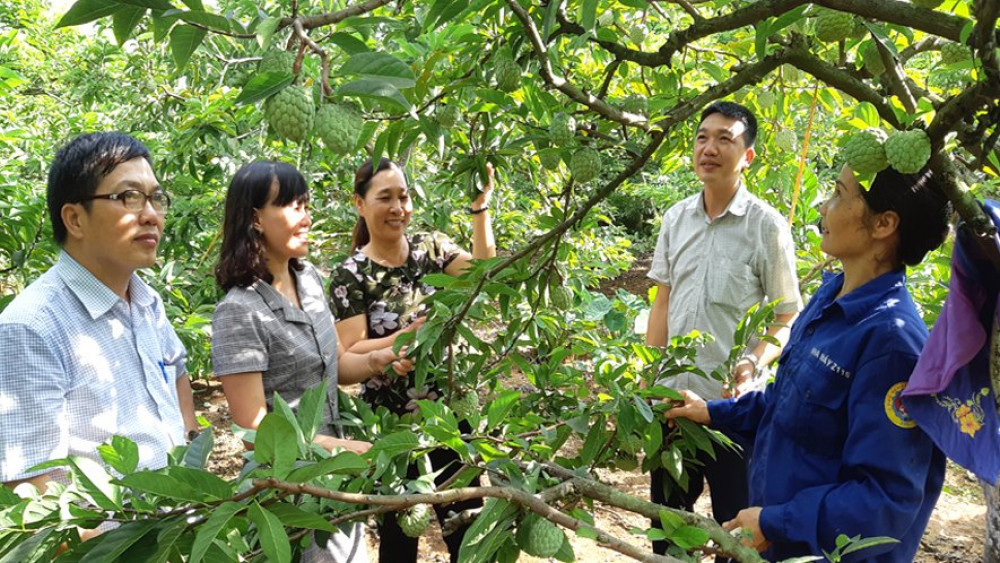 Hội Làm vườn Việt Nam đổi mới phương thức hoạt động, thích ứng để phát triển