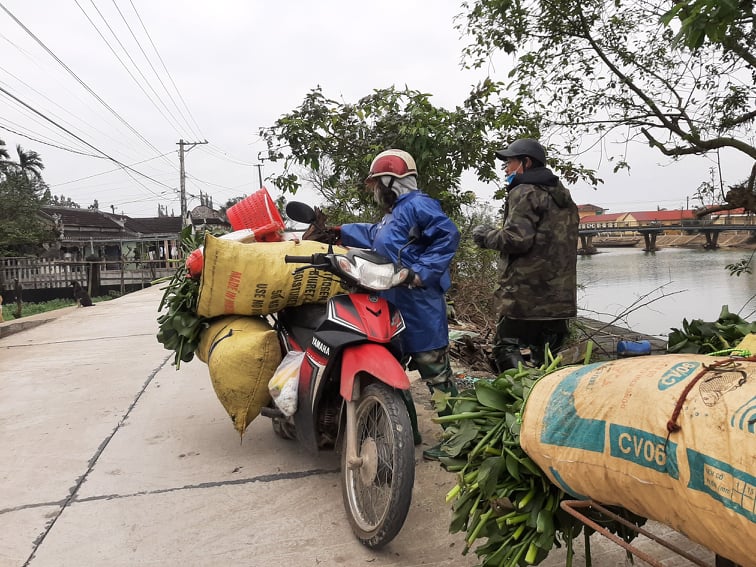 Vợ chồng ông Ty, bà Hồng xuyên trưa đi kiếm thức ăn cho cá.