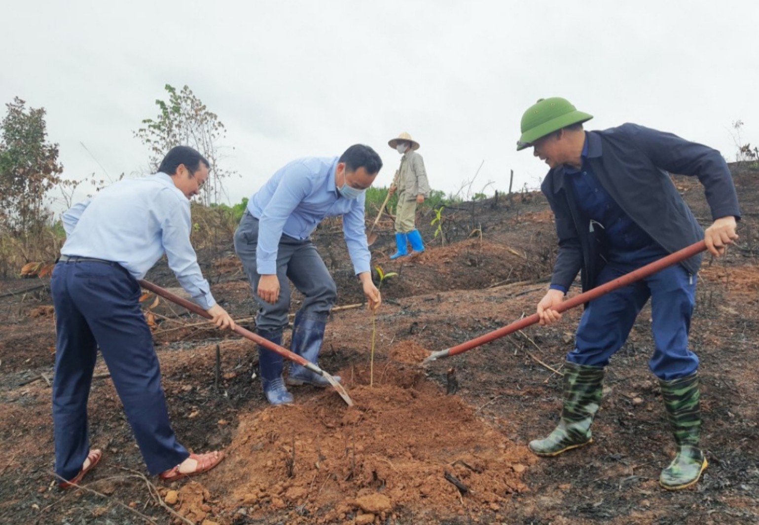 Các đại biểu Sở NN&PTNT và huyện Tiên Yên trồng rừng tại thôn Thủy Cơ, xã Tiên Lãng.