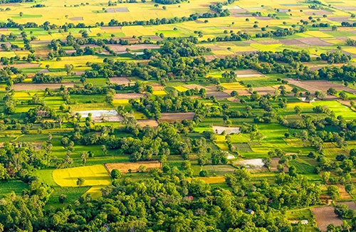 Trong tương lai không xa thị trường BĐS khu vực ĐBSCL được dự báo sẽ có nhiều tiềm năng đầu tư & phát triển