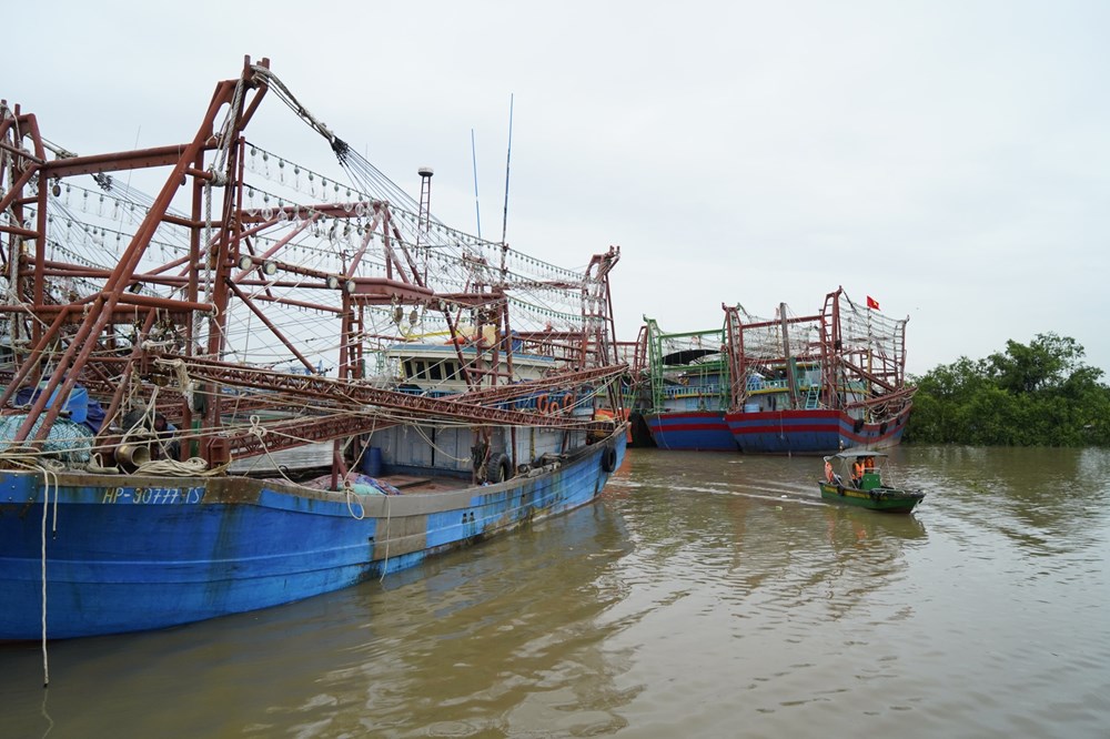 Hải Phòng kiên quyết không cho tàu cá đi khai thác khi chưa đảm bảo yêu cầu