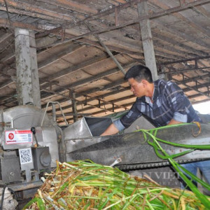 Để nông nghiệp Việt Nam phát triển xanh, bền vững, an toàn và có trách nhiệm
