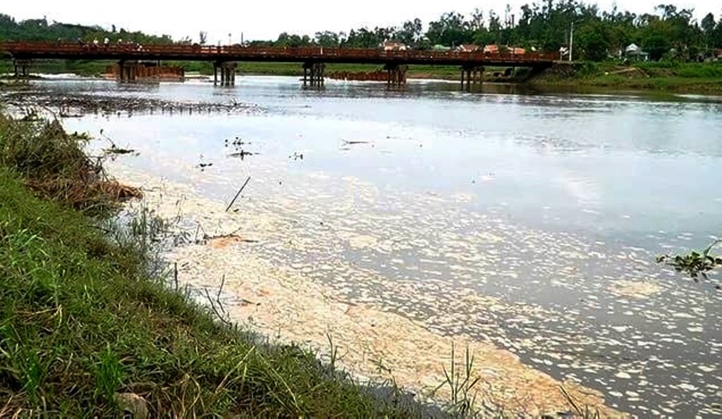 Cá, vịt chết bất thường trên sông Hầm Giang do doanh nghiệp xả thải