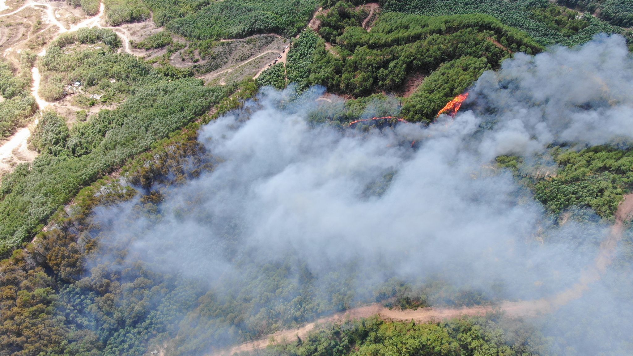 Đến sáng ngày 30/6 đám cháy rừng tại thị xã Hương Thủy đã được dập tắt.