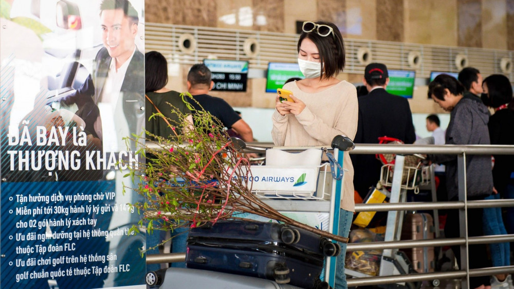 Bamboo Airways triển khai vận chuyển đào, mai dịp Tết Nhâm Dần 2022