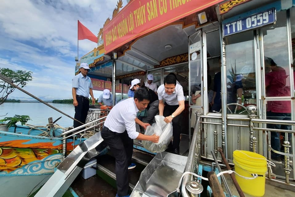 Hàng chục ngàn con cá đã được thả xuống sông Hương để tái tạo nguồn lợi thuỷ sản 