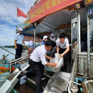 Thả hàng chục ngàn con cá để tái tạo nguồn lợi thuỷ sản trên sông Hương