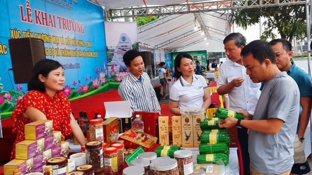 Khai mạc Hội chợ xúc tiến thương mại khu vực kinh tế tập thể Bắc Trung Bộ tại Hà Tĩnh