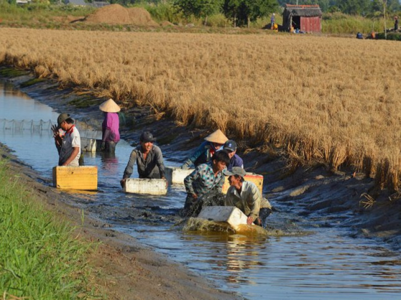 Hội Nông dân xã Ninh Trung xây dựng mô hình Cánh đồng không vỏ thuốc bảo  vệ thực vật