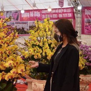 Chợ hoa xuân Long Biên chuẩn bị đón khách