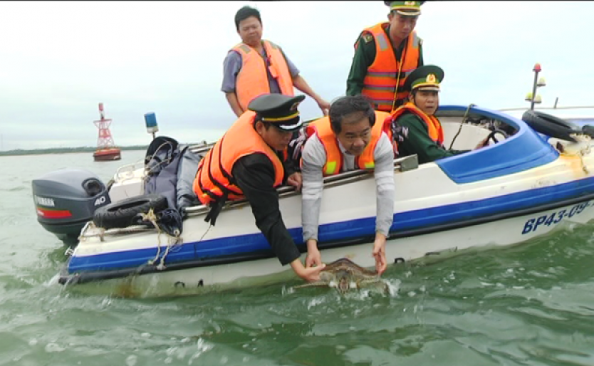 Ngày 06/01/2020, Chi cục Thủy sản tỉnh Quảng Nam phối hợp Hội nghề cá tỉnh đã thả một cá thể đồi mồi về với tự nhiên.