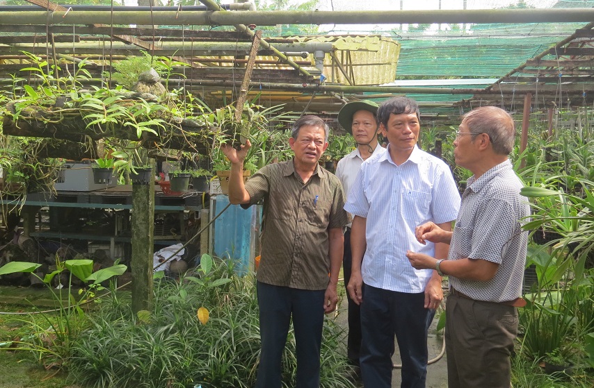 Đoàn công tác của Hội Làm vườn Việt Nam thăm quan tại mô hình trồng hoa lan, cây cảnh của gia đình bác Phạm Thanh Phương (Thị trấn An Dương, huyện An Dương, TP. Hải Phòng).