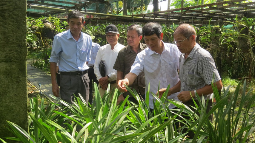 Bác Phạm Thanh Phương chia sẻ với Đoàn công tác về quá trình phát triển vườn Lan của gia đình.