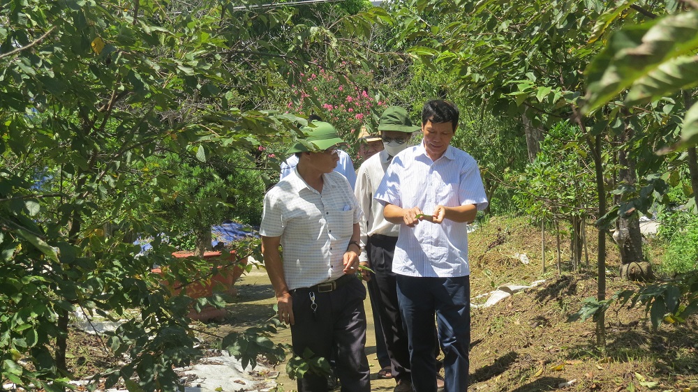 Đoàn công tác của Hội Làm vườn Việt Nam thăm mô hình trồng hoa anh Đào của bác Lê Đức Thái (Thị trấn An Dương, huyện An Dương, TP. Hải Phòng).