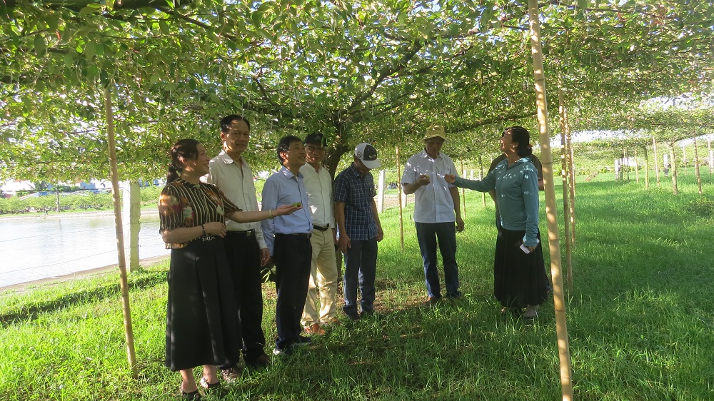 Đoàn công tác của Hội Làm vườn Việt Nam đến thăm quan mô hình trồng táo bàng la kết hợp với nuôi cá, gà cua anh Bùi Duy Dũng (Phường Bàng La, quận Đồ Sơn, TP. Hải Phòng).