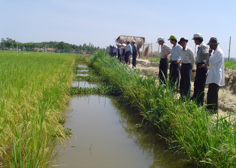 Trường hợp chuyển trồng lúa sang trồng lúa kết hợp nuôi trồng thủy sản được sử dụng tối đa 20% diện tích đất trồng lúa để hạ thấp mặt bằng nuôi trồng thủy sản với độ sâu không quá 120cm so với mặt ruộng.