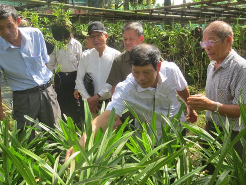 Phát triển kinh tế vườn gắn với du lịch sinh thái: Thay đổi diện mạo nông thôn