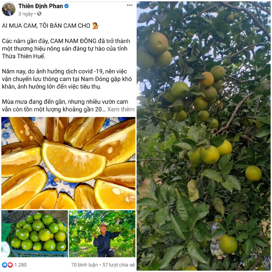 Bài viết “Ai mua cam, tôi bán cam cho” đăng tải trên tài khoản facebook cá nhân của ông Phan Thiên Định nhận được hàng nghìn lượt tương tác.