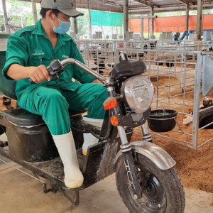 Giải pháp để chăn nuôi Tây Ninh “cất cánh” 