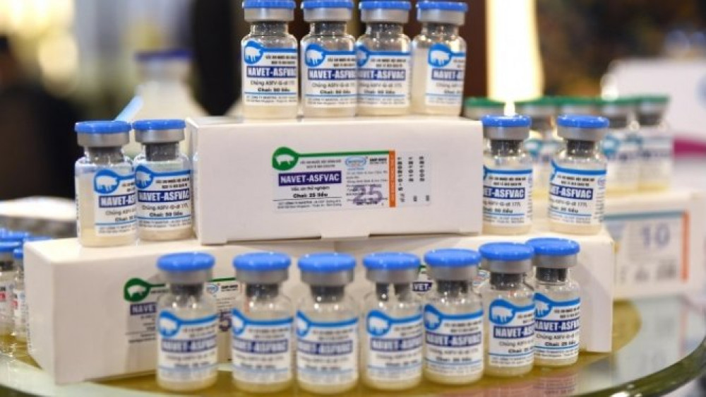 Việt Nam công bố sản xuất thành công vaccine dịch tả lợn châu Phi