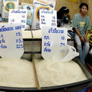 Giá gạo tại các vựa lúa châu Á chạm mức thấp của nhiều năm