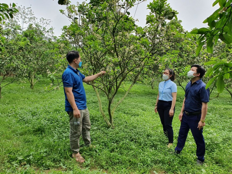 Tuyên Quang ban hành Bộ tiêu chí Vườn mẫu nông thôn mới