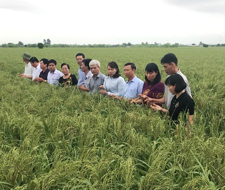 Bình Thuận xây dựng mô hình kinh tế trang trại đạt hiệu quả cao