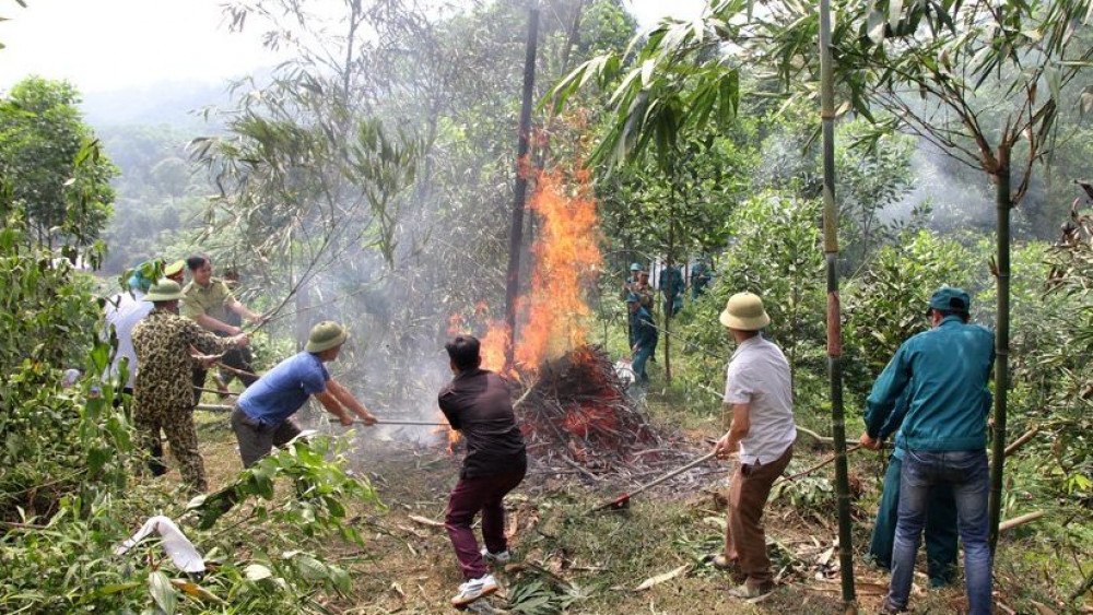 Tuyên Quang có 36 xã nguy cơ cháy rừng ở cấp nguy hiểm