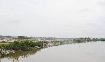 Hệ thống đê sông Mơ ở xã An Hòa (Quỳnh Lưu) từ lâu chưa được nâng cấp