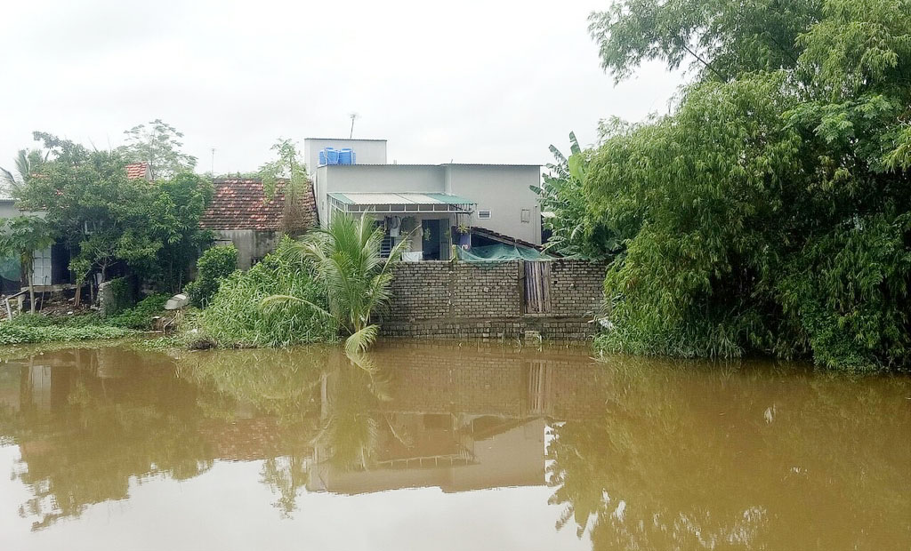 Đê sông Thái đoạn qua thị trấn Cầu Giát (Quỳnh Lưu) thấp nên nước tràn qua gây ngập úng nhiều hộ dân