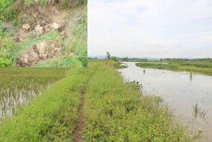 Hệ thống đê sông Bùng qua xã Diễn Hoa, huyện Diễn Châu dài 7 km chủ yếu đắp bằng đất nhiều đoạn bị sạt lở và đứt chân đê