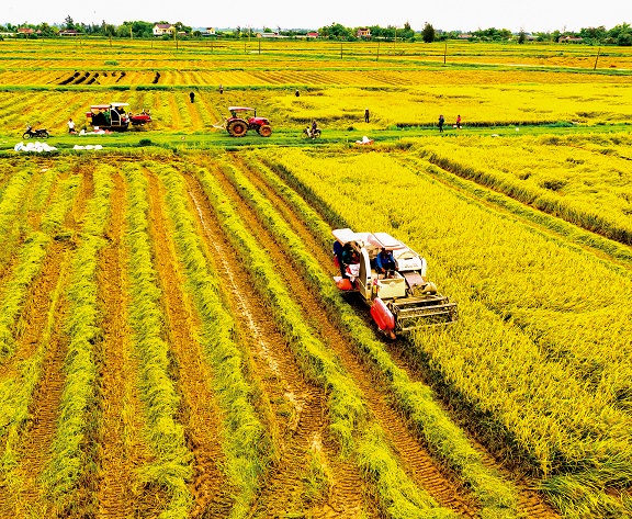 hà-tĩnh-giá-trị-sản-xuất-đạt-trên-90-triệu.jpg