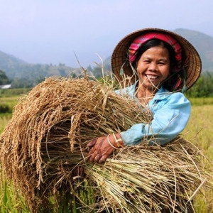 Vai trò nữ nông dân trong đảm bảo nguồn cung thực phẩm an toàn và bền vững