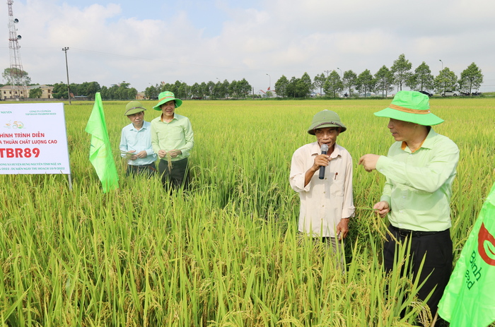 Hội thảo đầu bờ đánh giá mô hình trình diễn giống lúa TBR89 tại tại xóm Đình Tiến, xã Long Xá (Hưng Nguyên, Nghệ An) 
