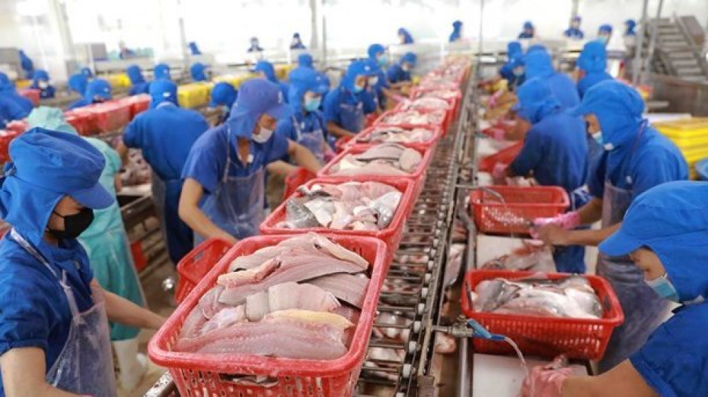 Doanh nghiệp thủy sản Việt Nam đón sóng tăng trưởng lớn