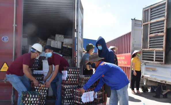 Các tình nguyện viên có mặt tại Cảng Cửa Lò vận chuyển hàng hóa lên container.