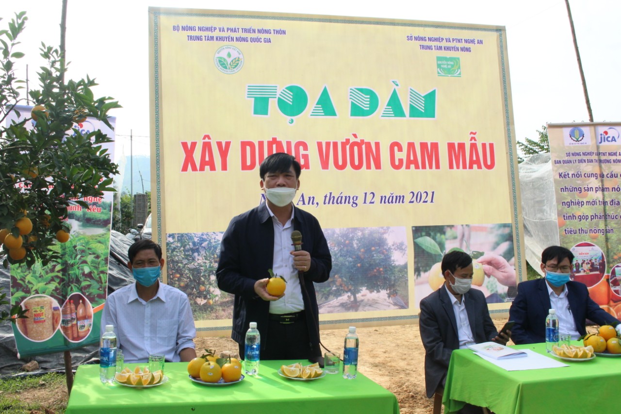 Tọa đàm tổ chức tại trang trại cam Ân Thơm xóm Đồng Trung, xã Đồng Thành, huyện Yên Thành, Nghệ An