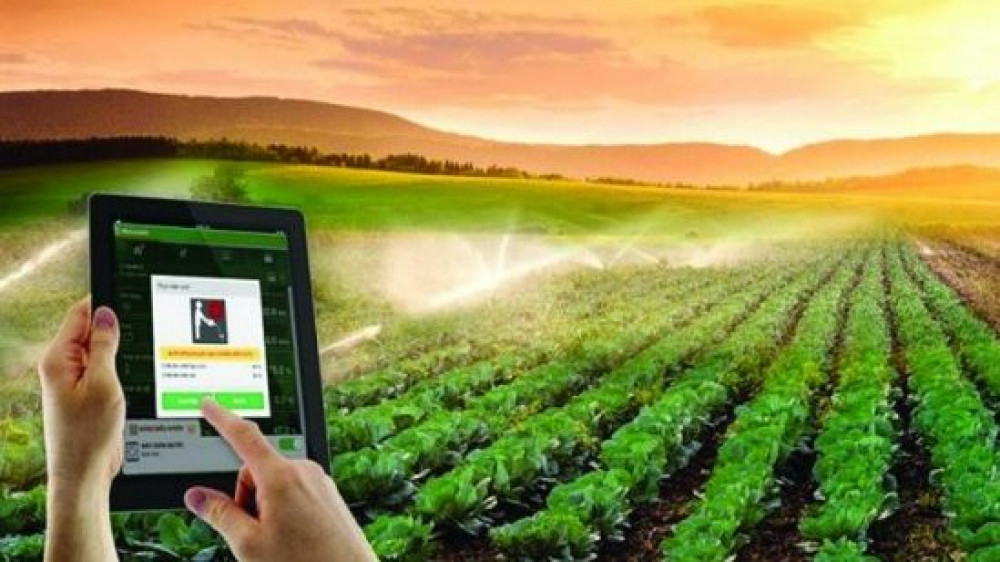 Nông dân quan tâm và mong muốn được hỗ trợ về công nghệ