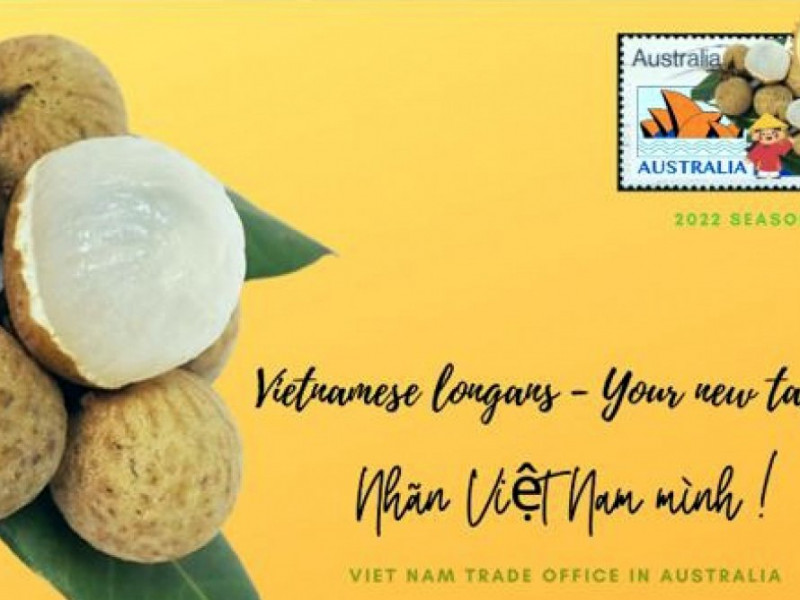 Nhãn tươi Việt Nam được phân phối rộng khắp tại thị trường Australia