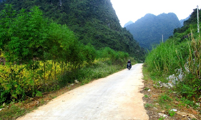 hệ-thống-đường-liên-xóm-liên-xã-vùng-lục-khu-hà-quảng-được-bê-tông-hóa.jpg