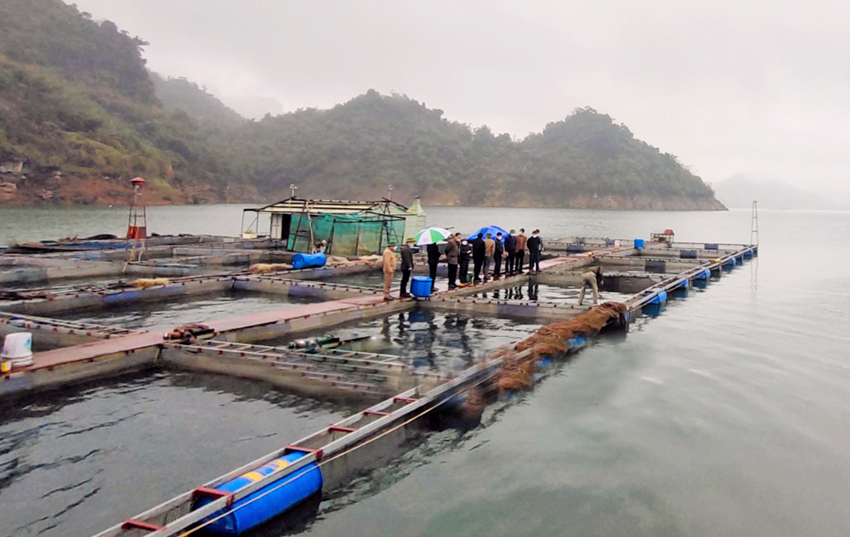 ngành-chức-năng-khuyến-cáo-người-nuôi-cá-cần-chủ-động-các-biện-pháp-để-đảm-bảo-an-toàn-cho-cá-khi-bước-vào-mùa-nắng-nóng-mưa-lũ-ảnh-chụp-tại-xã-hiền-lương-đà-bắc.jpg