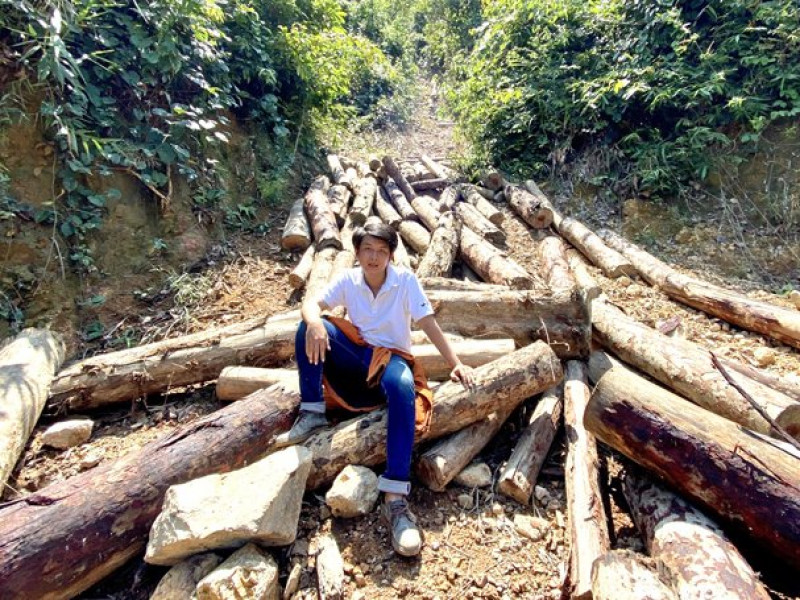 Trong một năm, Quảng Nam giảm 2.850ha rừng tự nhiên