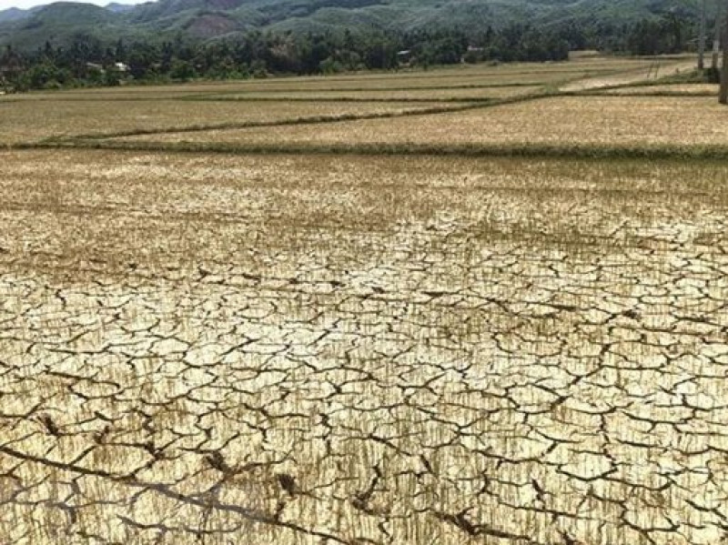 Khu vực miền Trung có khả năng thiếu nước sản xuất vụ hè thu và vụ mùa