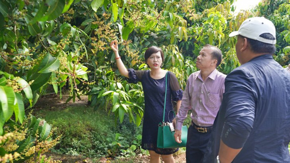 Hội Làm vườn đề xuất kết nối 10 lĩnh vực giúp nông nghiệp Trà Vinh phát triển bền vững